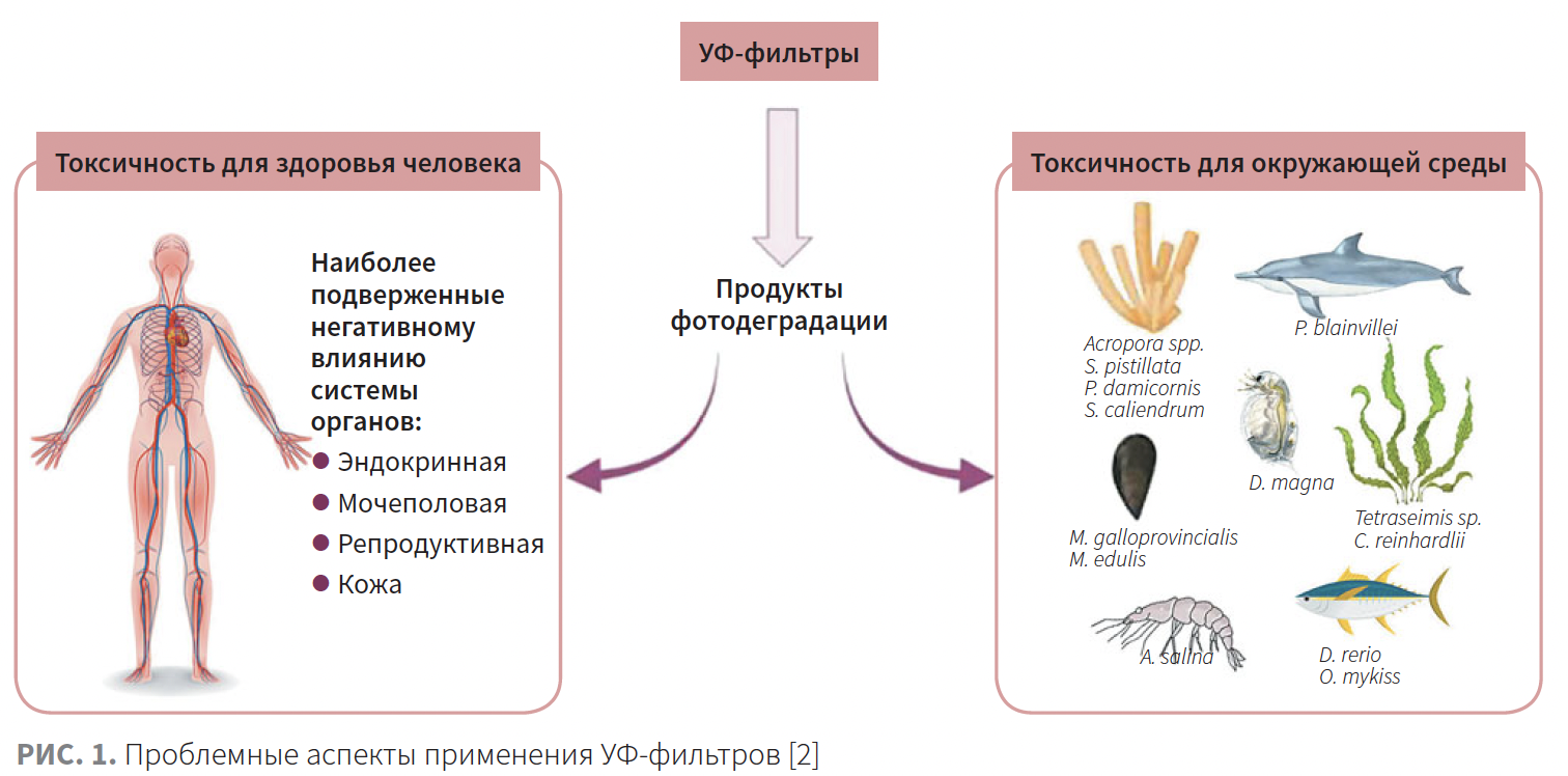 Токмакова (ЭлмТри) КМ 2-2024_рис 1 Токмакова (ЭлмТри) КМ 2-2024_рис 1.png