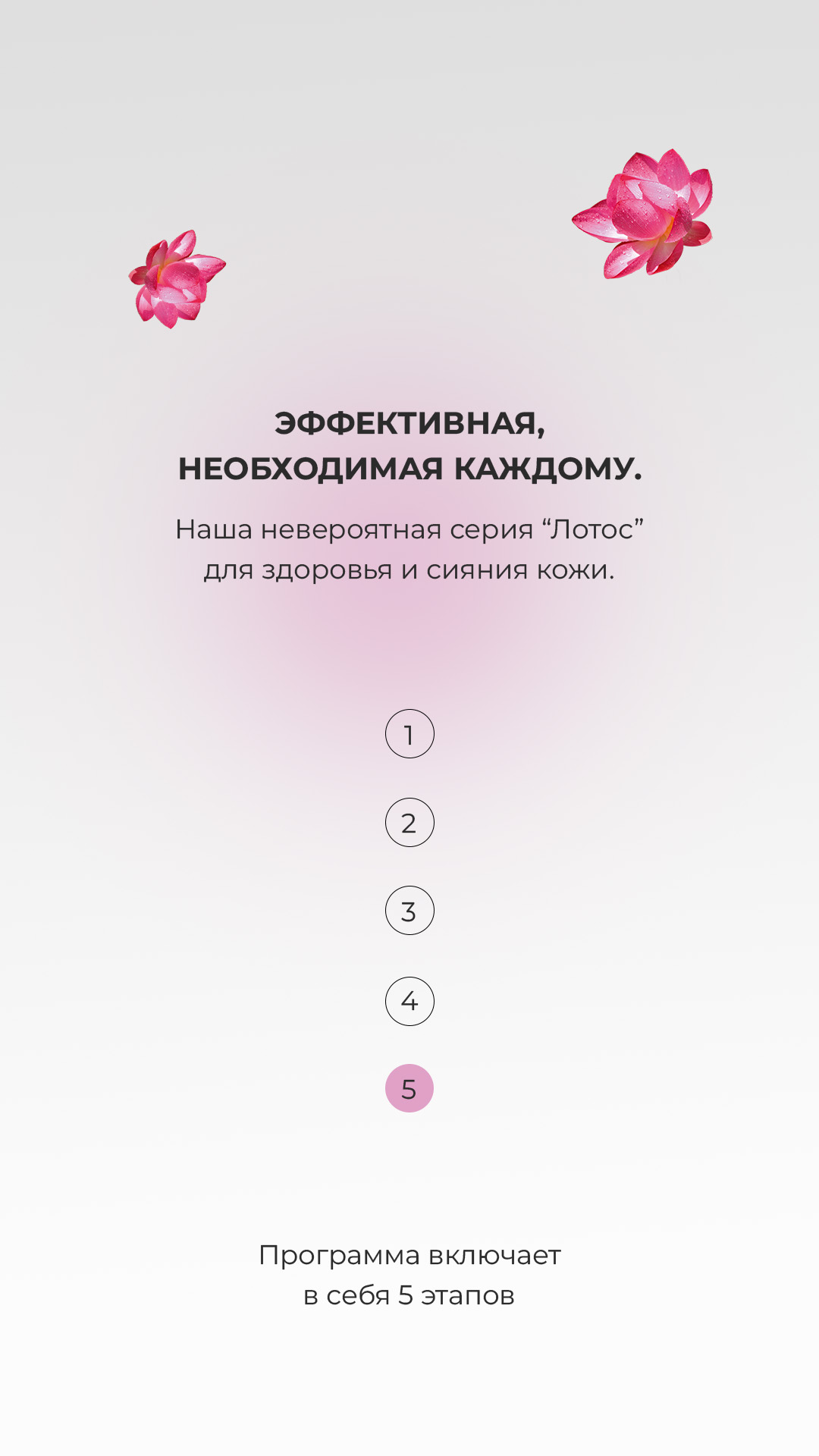 2__2_.jpg