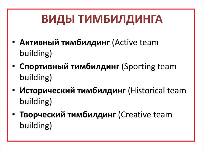 Тимбилдинг виды