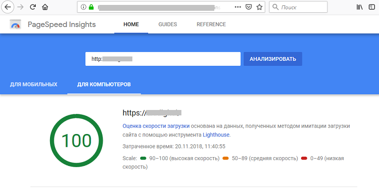 Применение сервиса PageSpeed Insights в работе