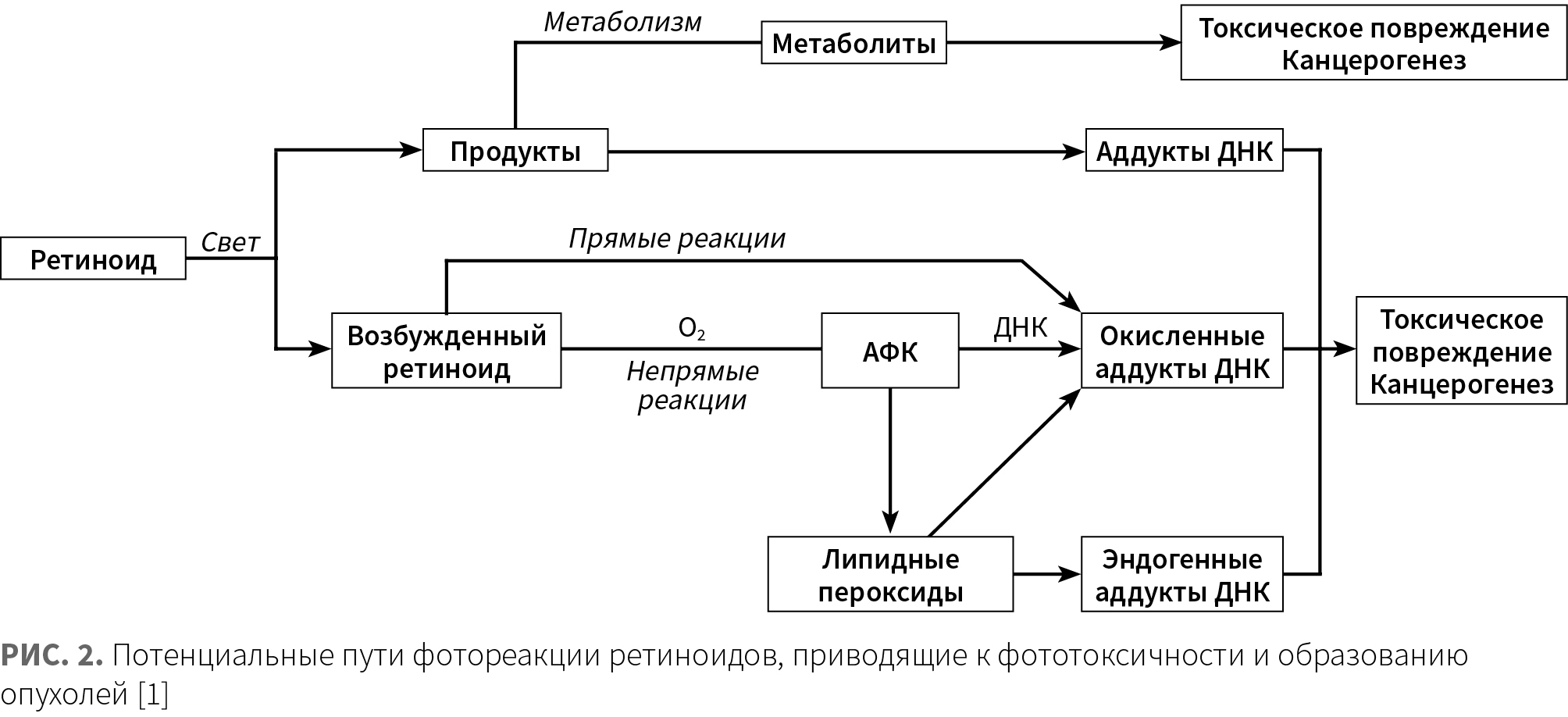Эрнандес (Виши) КМ 3-2024_Рис 2 Эрнандес (Виши) КМ 3-2024_Рис 2.jpg