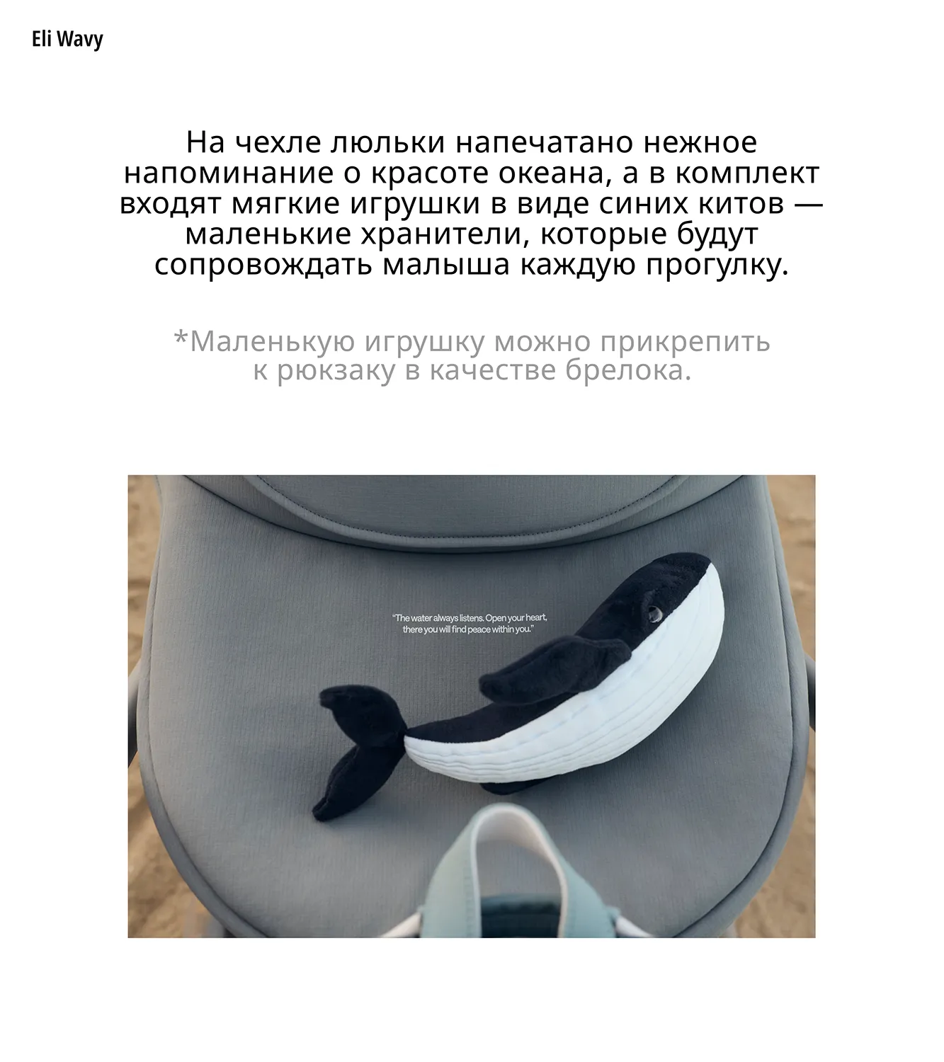 RU_Eli_Wavy_presentation-9-1.webp