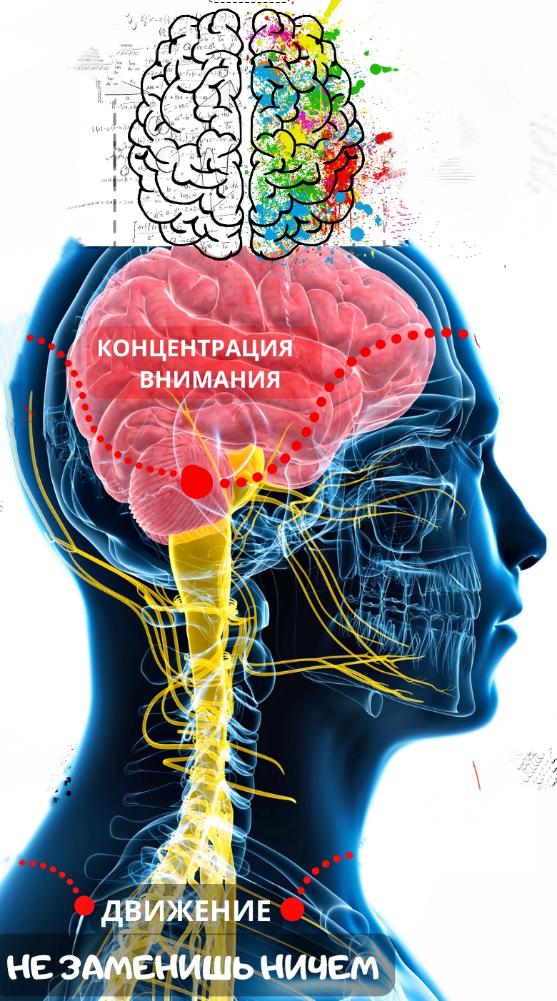 движение не заменить движение не заменить.jpg