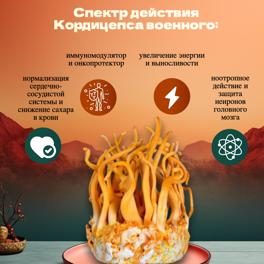действие кордицепс 2 карточка.png
