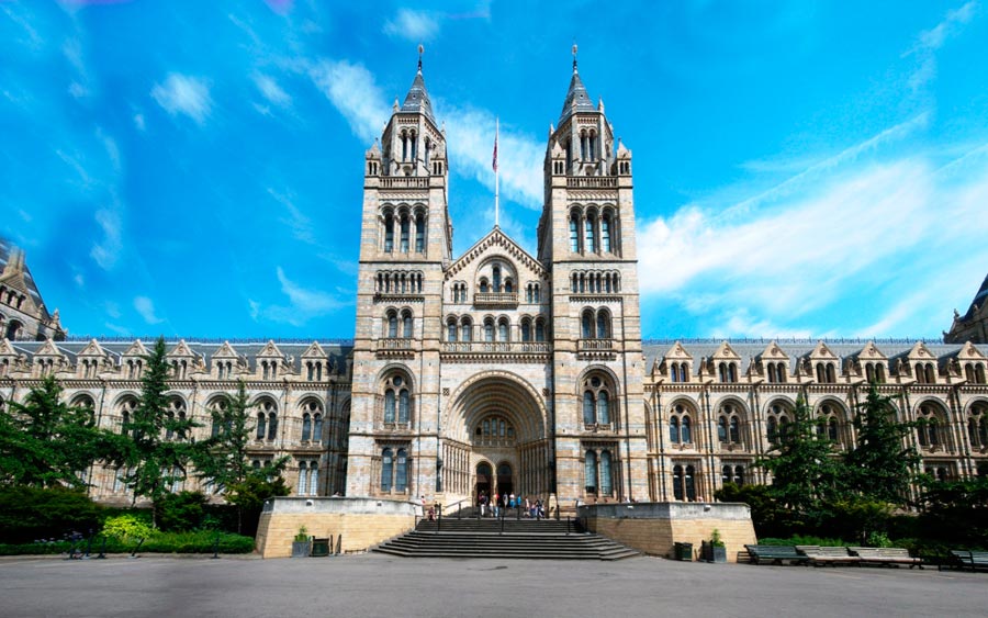 Музей естествознания (Natural History Museum), Лондон Музей естествознания (Natural History Museum), Лондон