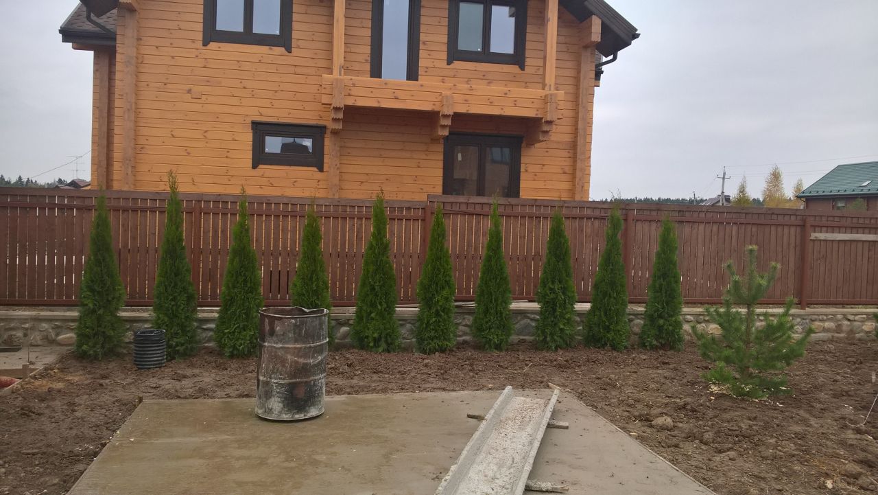 портфолио_3.jpg