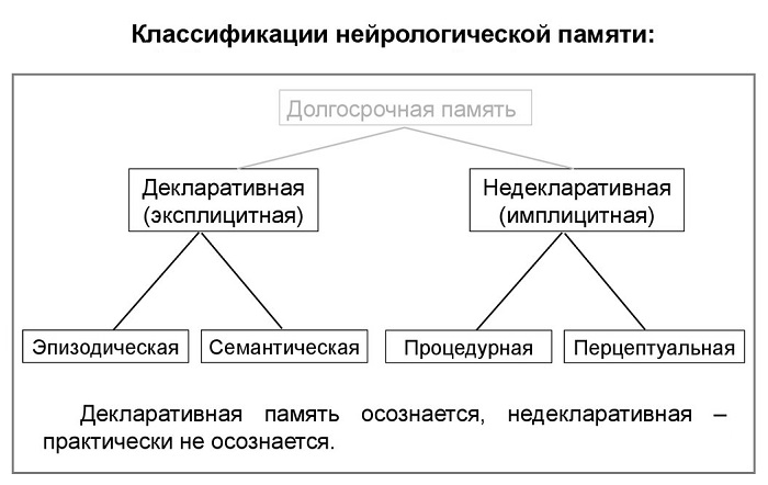 виды памяти