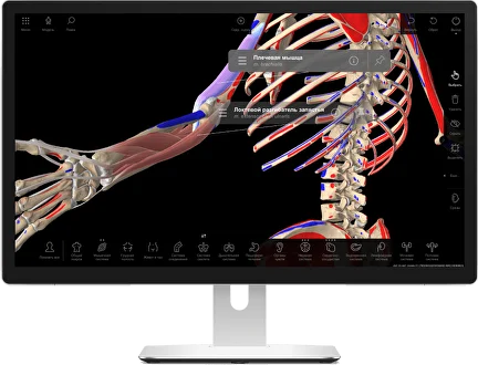 features-base_2x.png features-base_2x.png.webp
