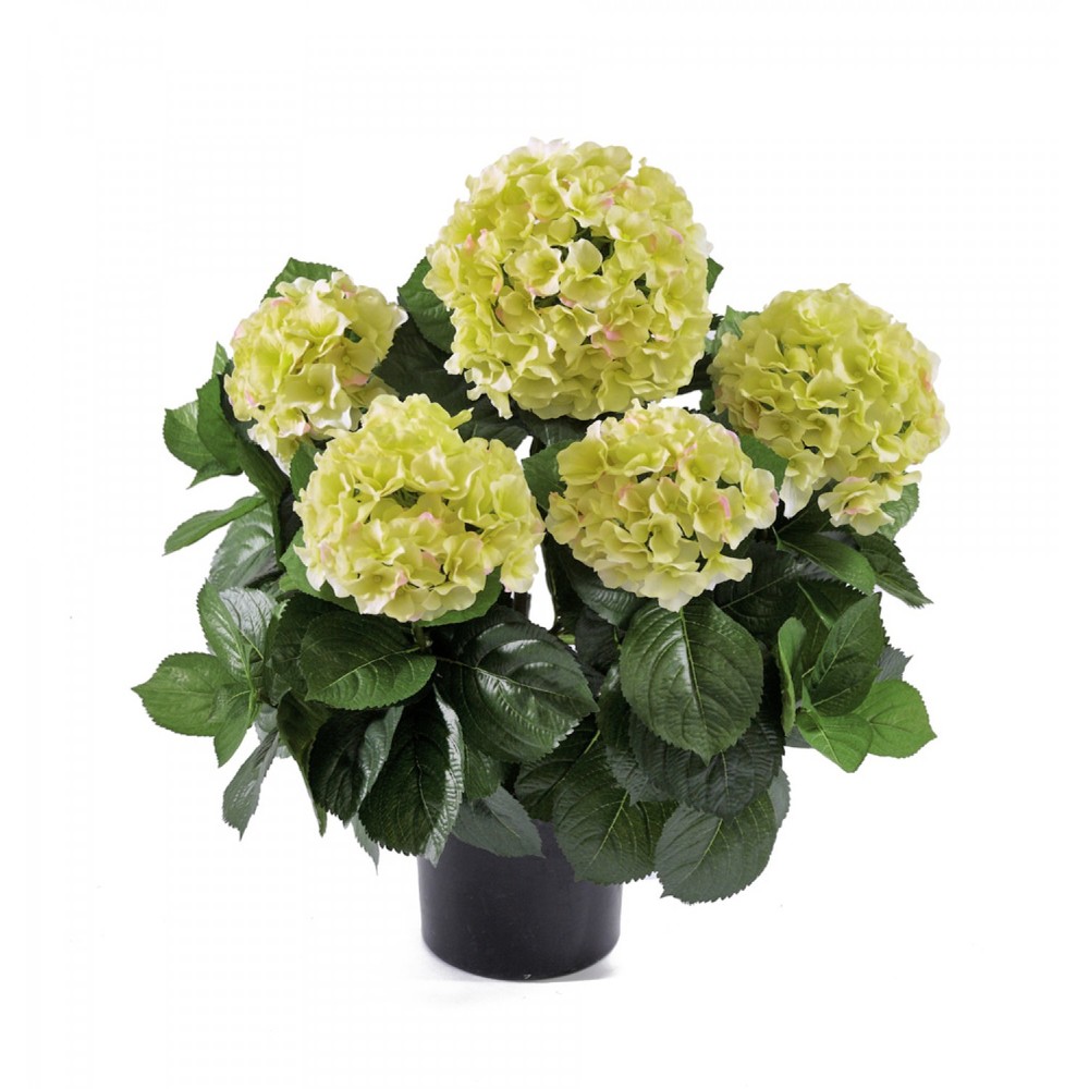 Decor161.ru
