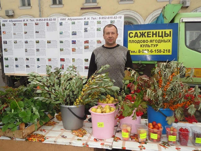 Плодово-ягодный питомник Абраменко И.Н. Плодово-ягодный питомник Абраменко И.Н.