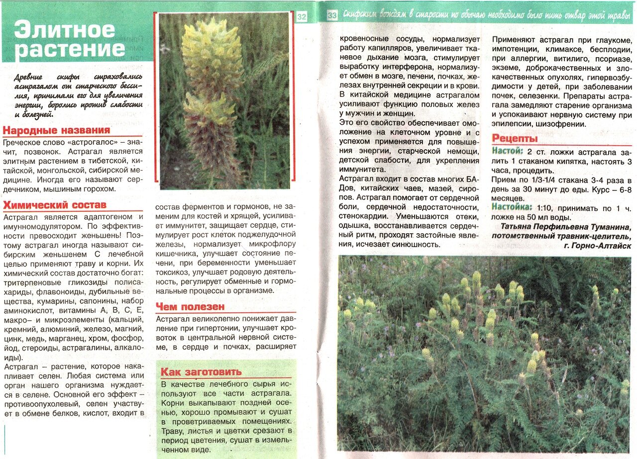 статья про астрагал