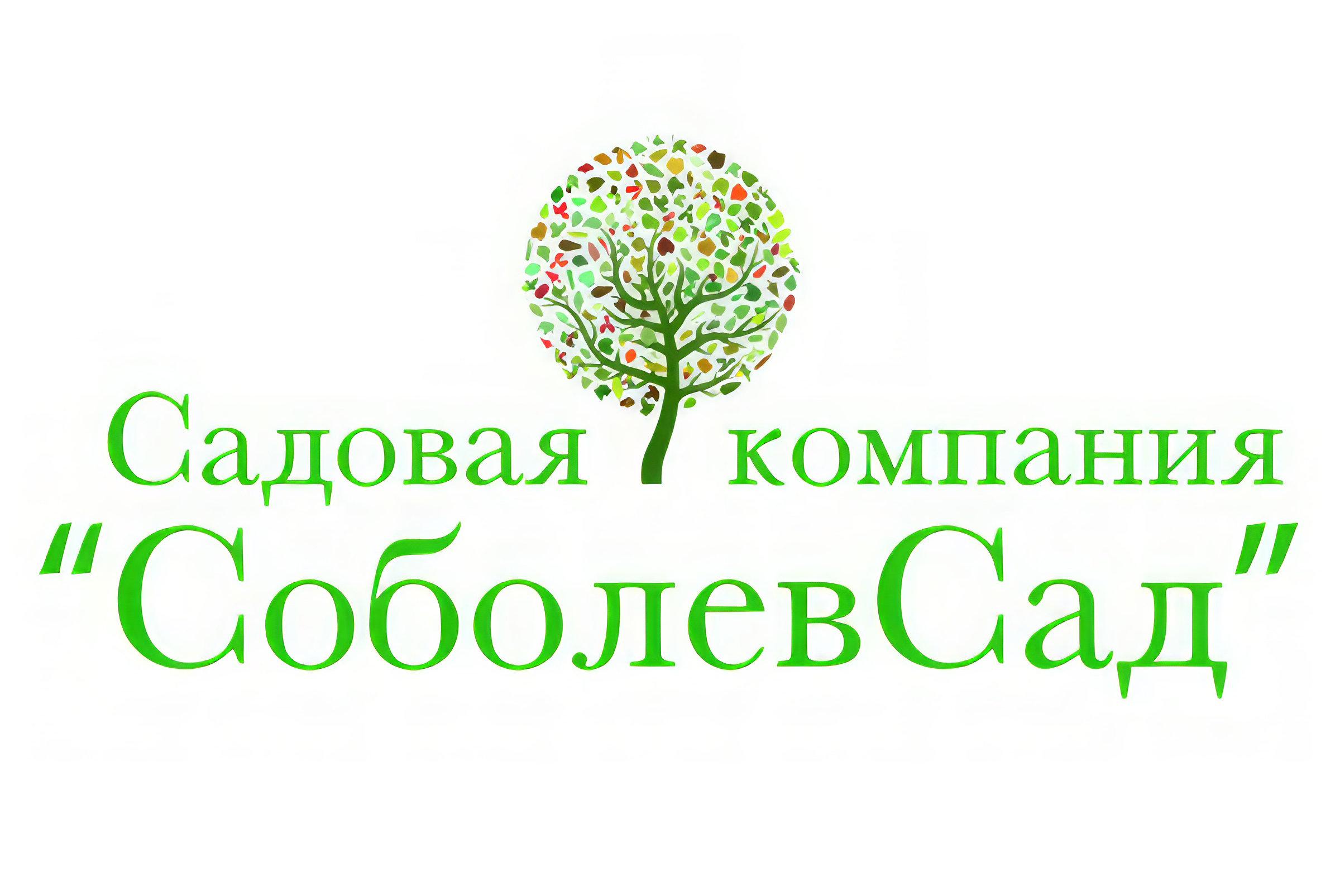 СоболевСад