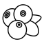 Брусника лист