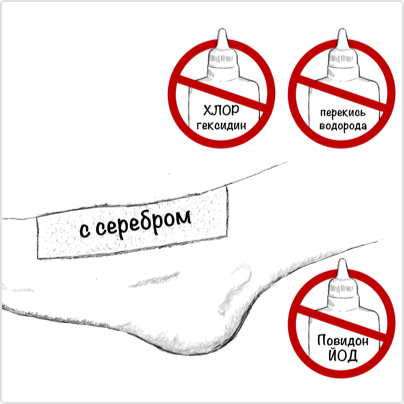 algojelle5.jpg