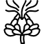 Сафлор