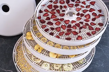 Сушка разных продуктов в Ezidri Snackmaker FD1000 +дегидратор +для овощей +и мяса