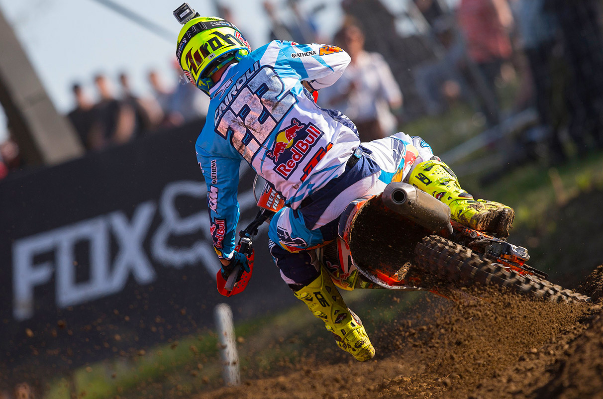 Cairoli-back.jpg