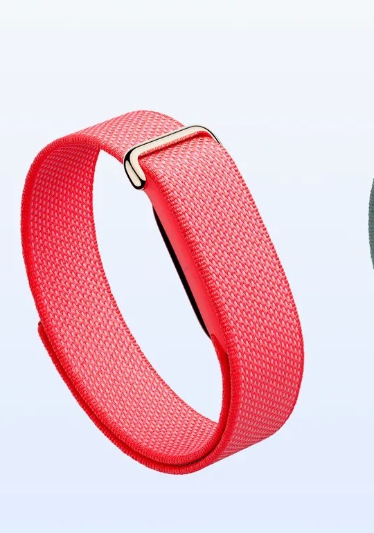 купить Fitbit Air Berry купить Google Fitbit Air Berry красная ягода