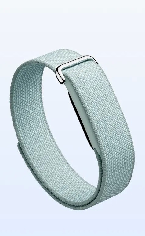 купить Fitbit Air Fog купить Google Fitbit Air Fog серый туман
