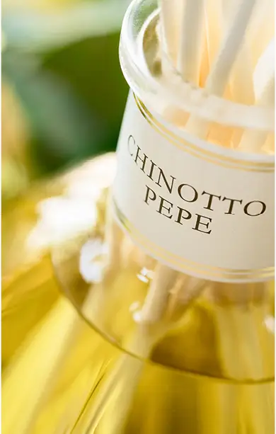 Colonna3_immagine_in_basso_CHINOTTO_PEPE_2 Colonna3_immagine_in_basso_CHINOTTO_PEPE_2.webp