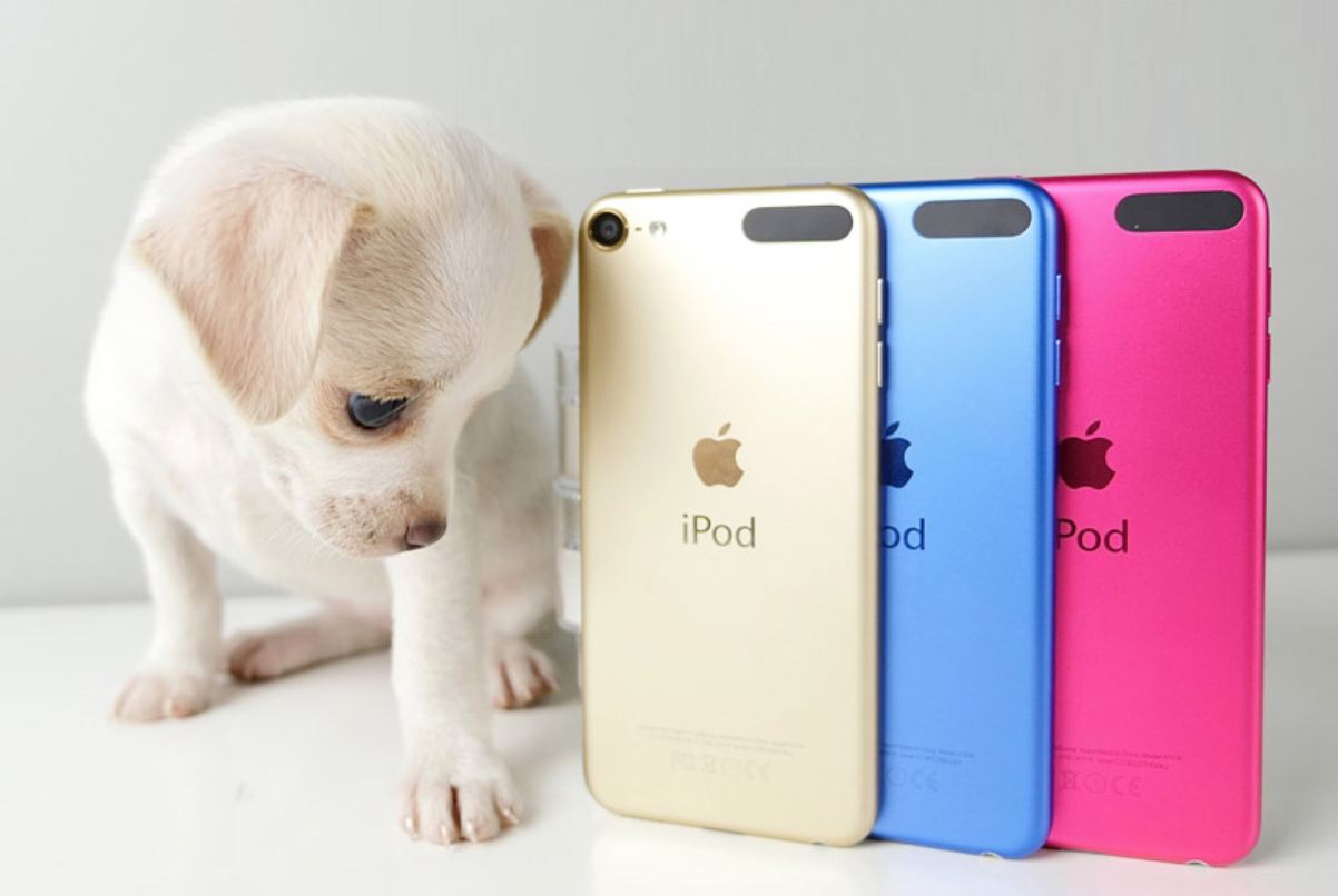 Apple iPod Touch 6 Gen