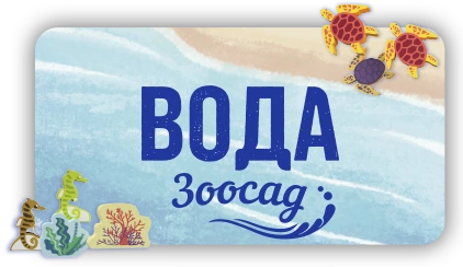 Котокомбо.webp