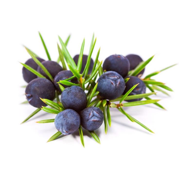 NYCE Шампунь для непослушных волос Discipline Smooting Shampoo 250 мл ( срок 05/26 + 12 мес после вскрытия ), фото 3