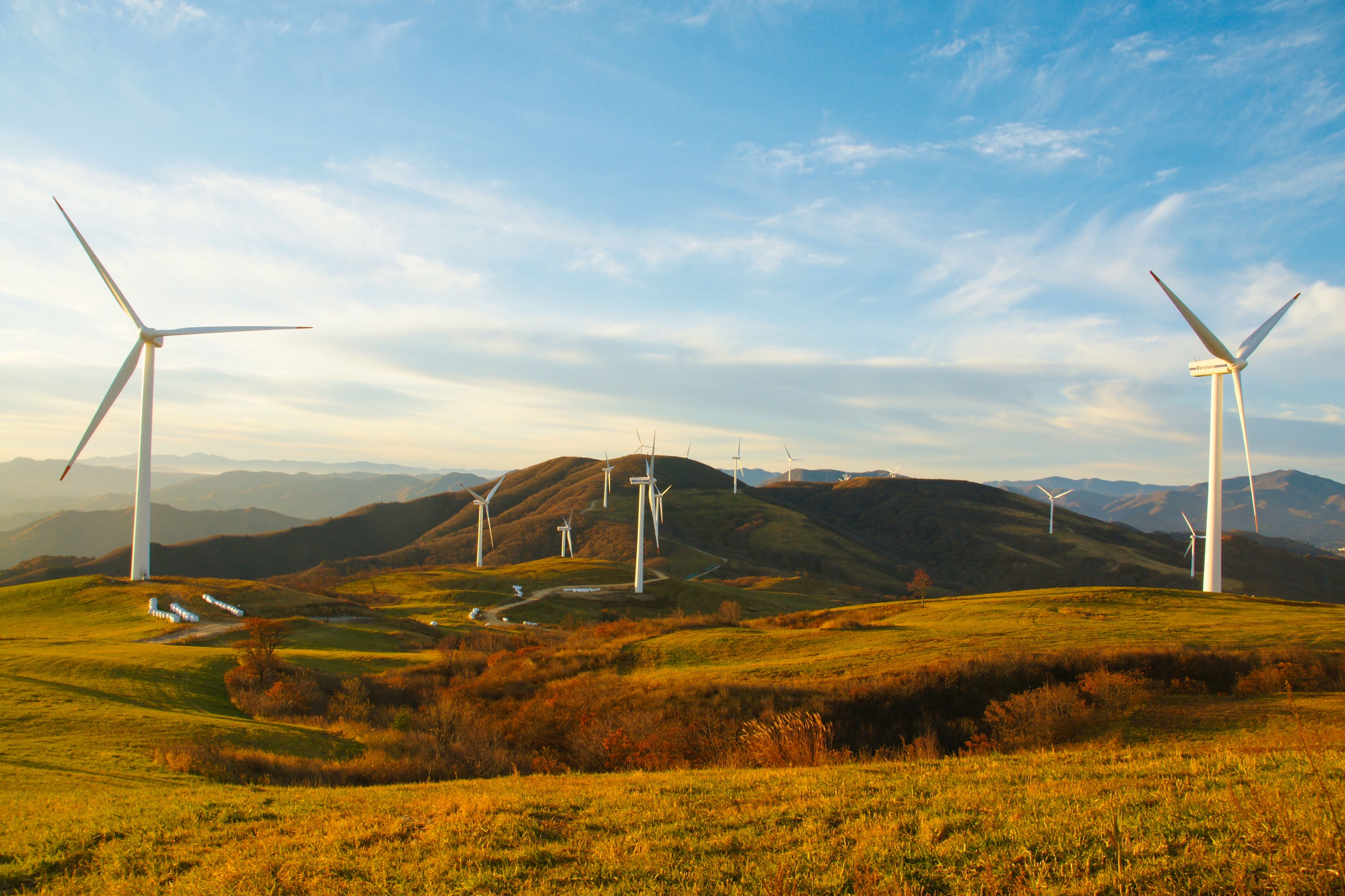 windmills-7986053 windmills-7986053.jpg