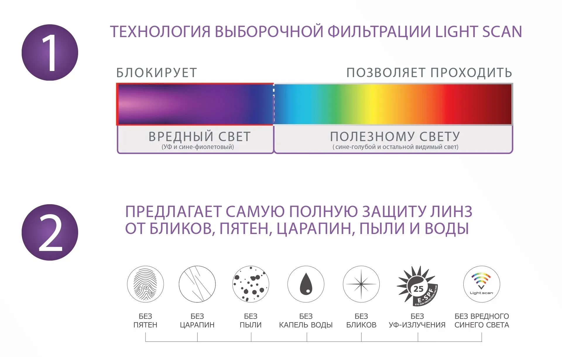 3_4.jpg.webp