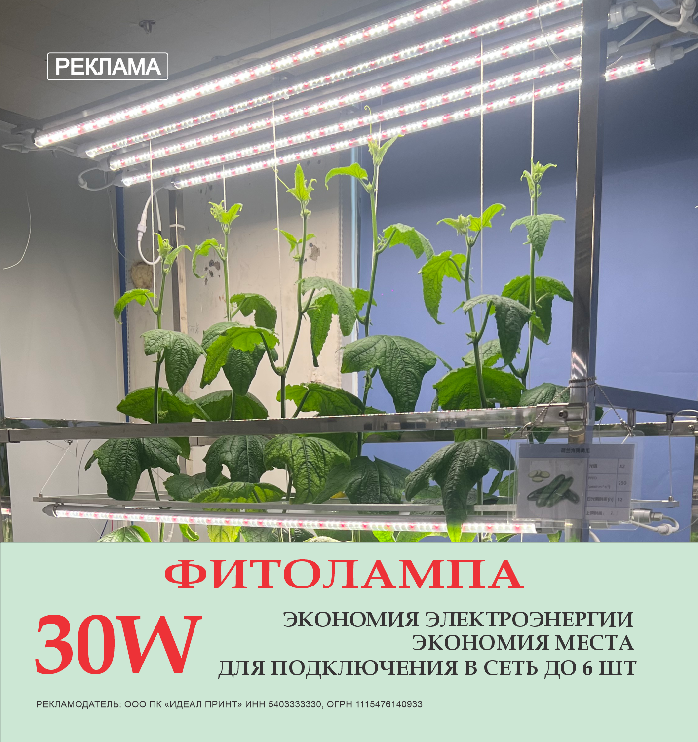 Фитолампы 30W