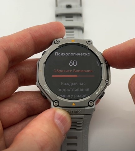 Amazfit-T-Rex-3-Obzor-81.jpg