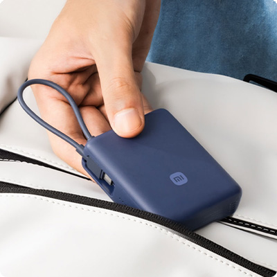 Внешний аккумулятор Xiaomi 33W Power Bank 10000mAh (PB1033MI)