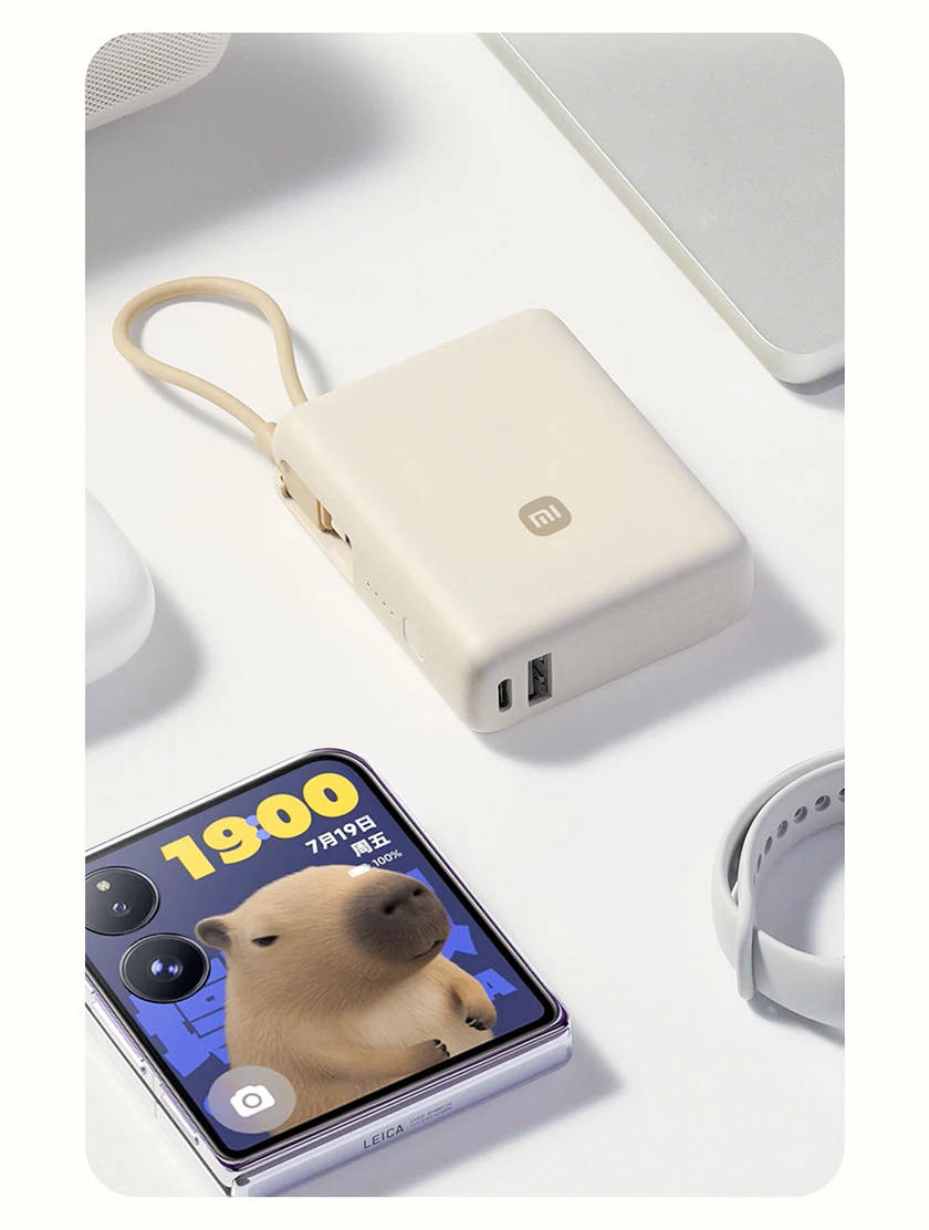 Внешний аккумулятор Xiaomi 33W Power Bank 10000mAh (PB1033MI)