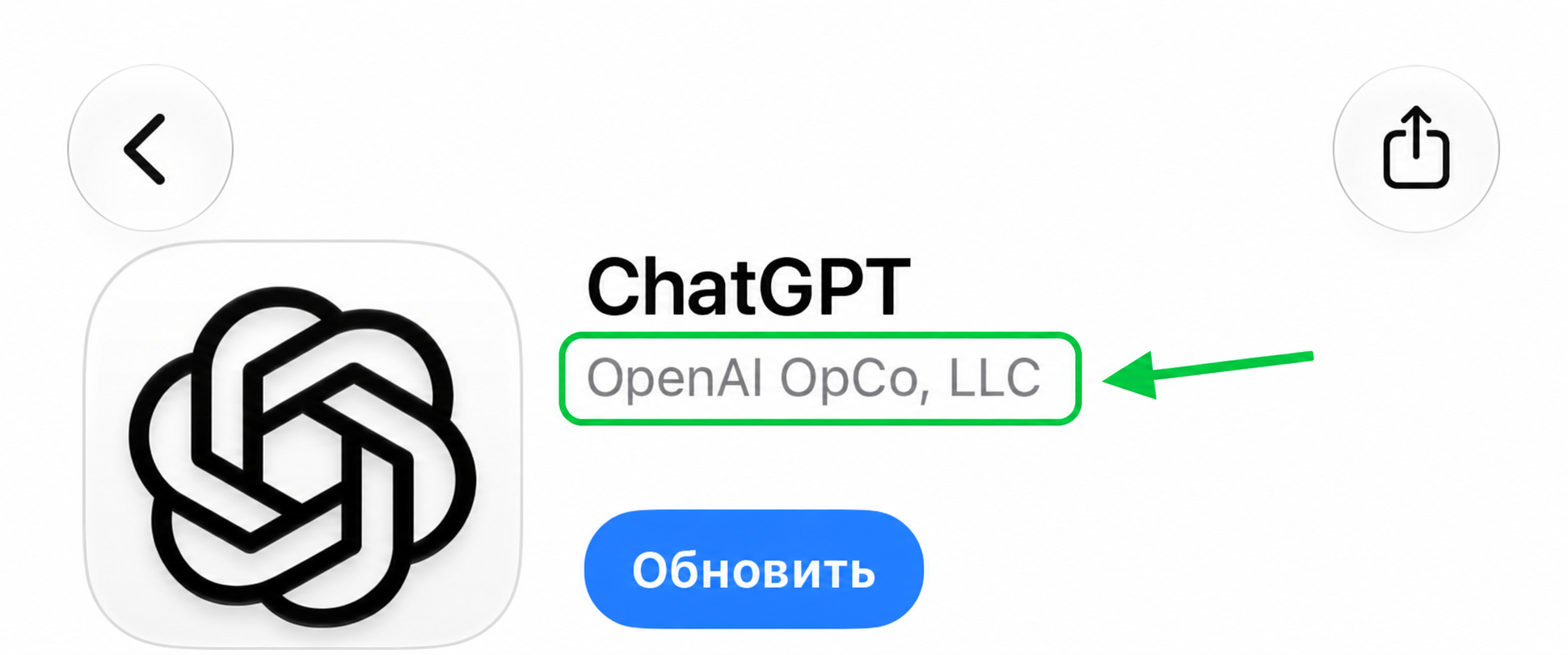 Пример App Store: зелёной рамкой выделен разработчик OpenAI OpCo, LLC