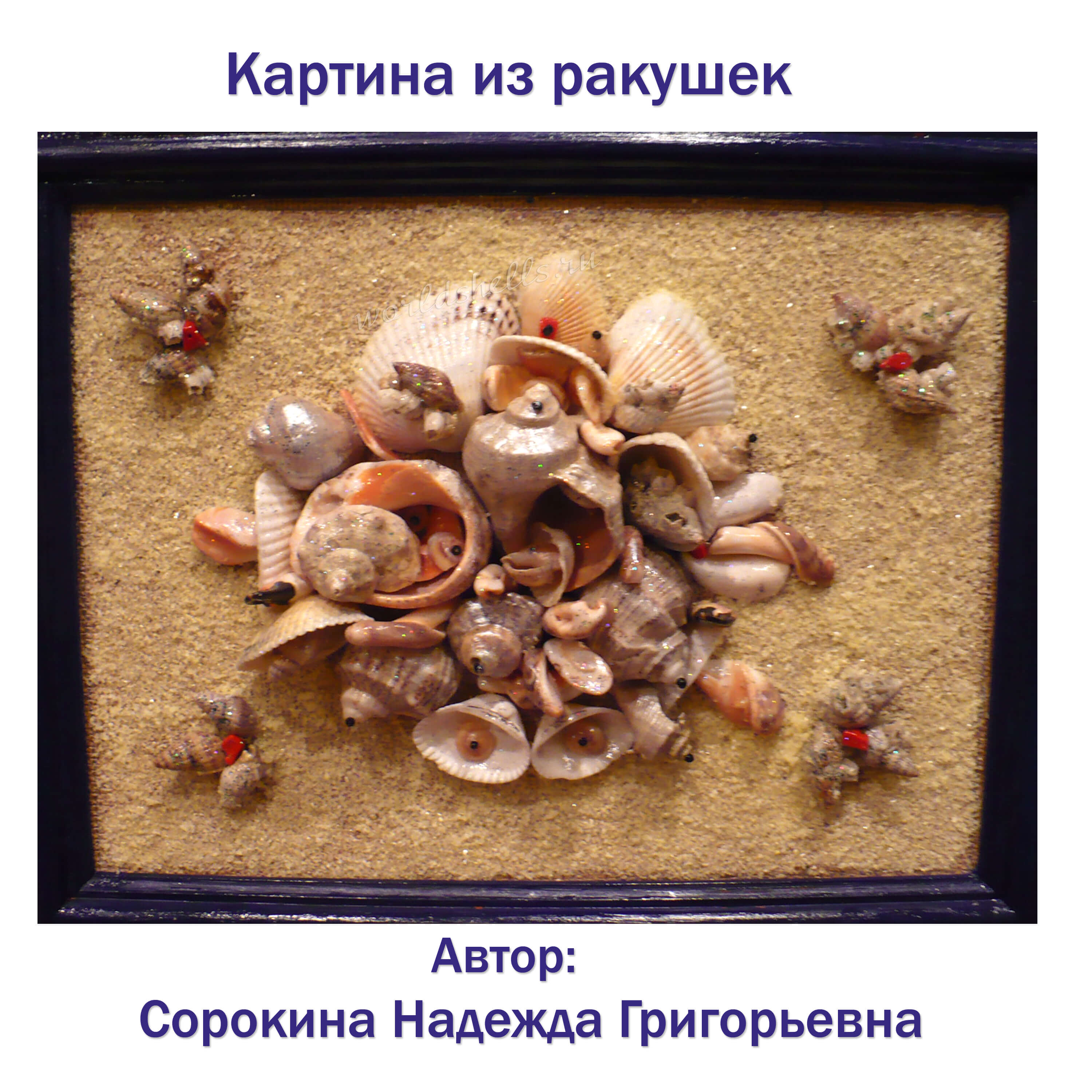 Как сделать панно из морских ракушек