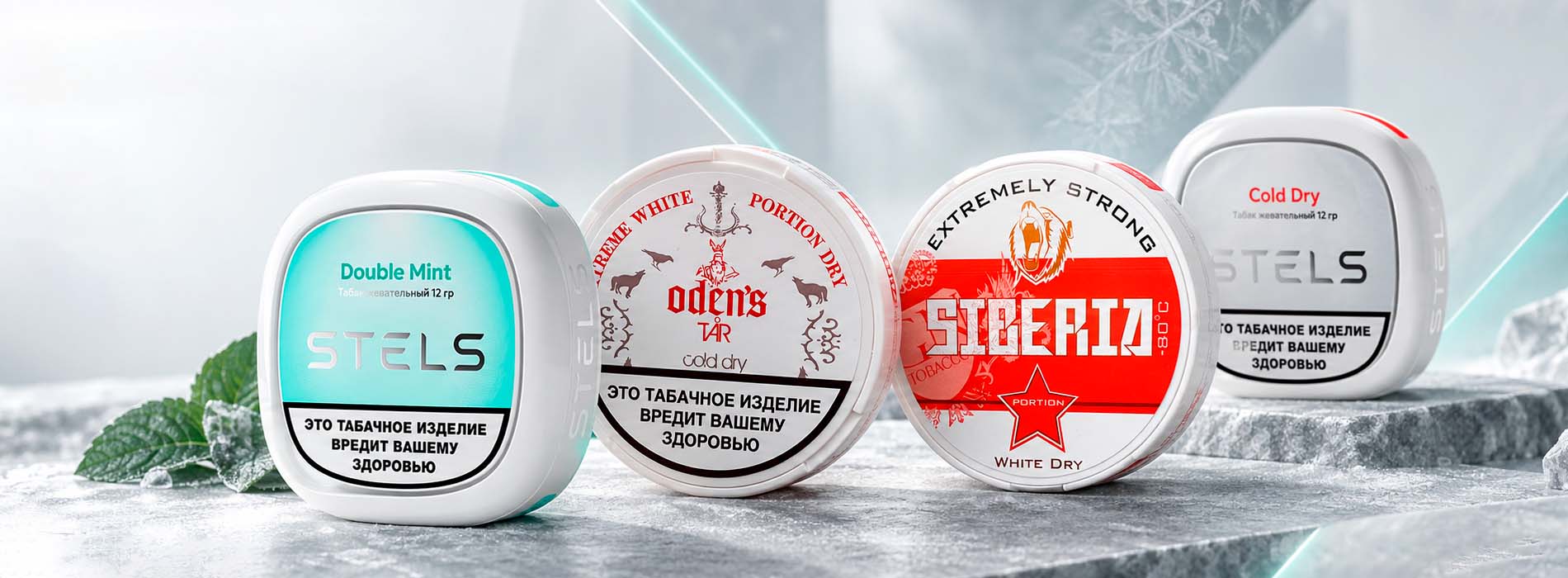ODENS, SIBERIA и STELS холодным направлением ODENS, SIBERIA и STELS холодным направлением