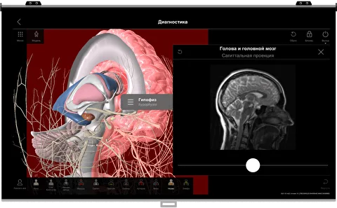 features-radiation-d.png features-radiation-d.png.webp