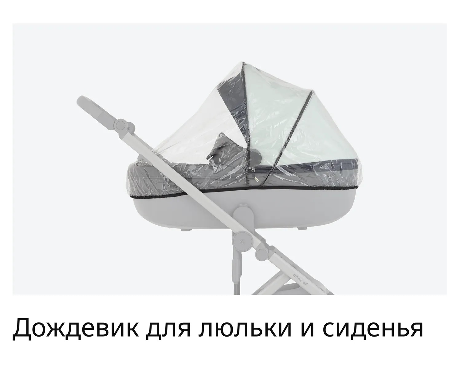 RU_Eli_Wavy_presentation-10-3.webp