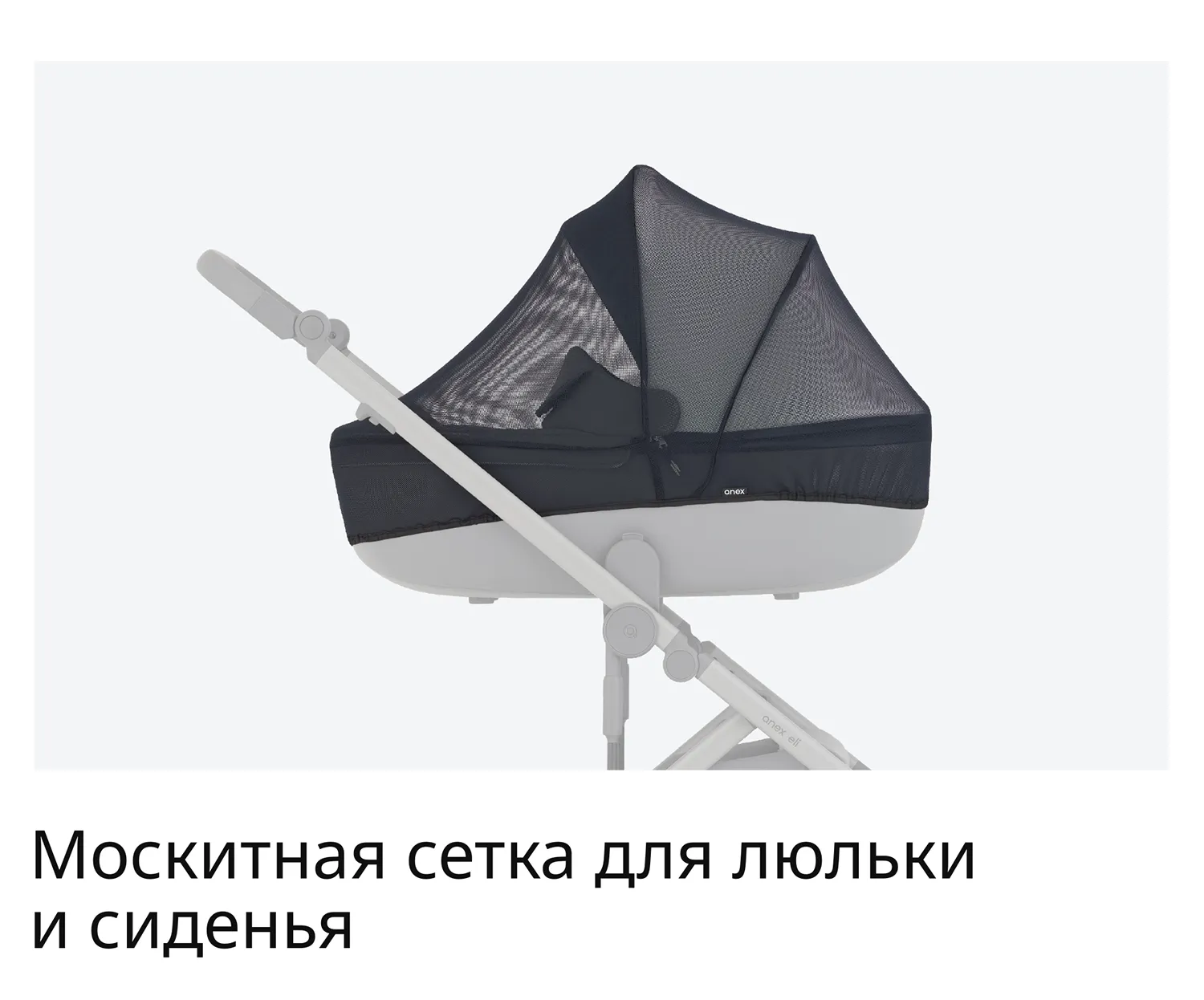 RU_Eli_Wavy_presentation-10-4.webp