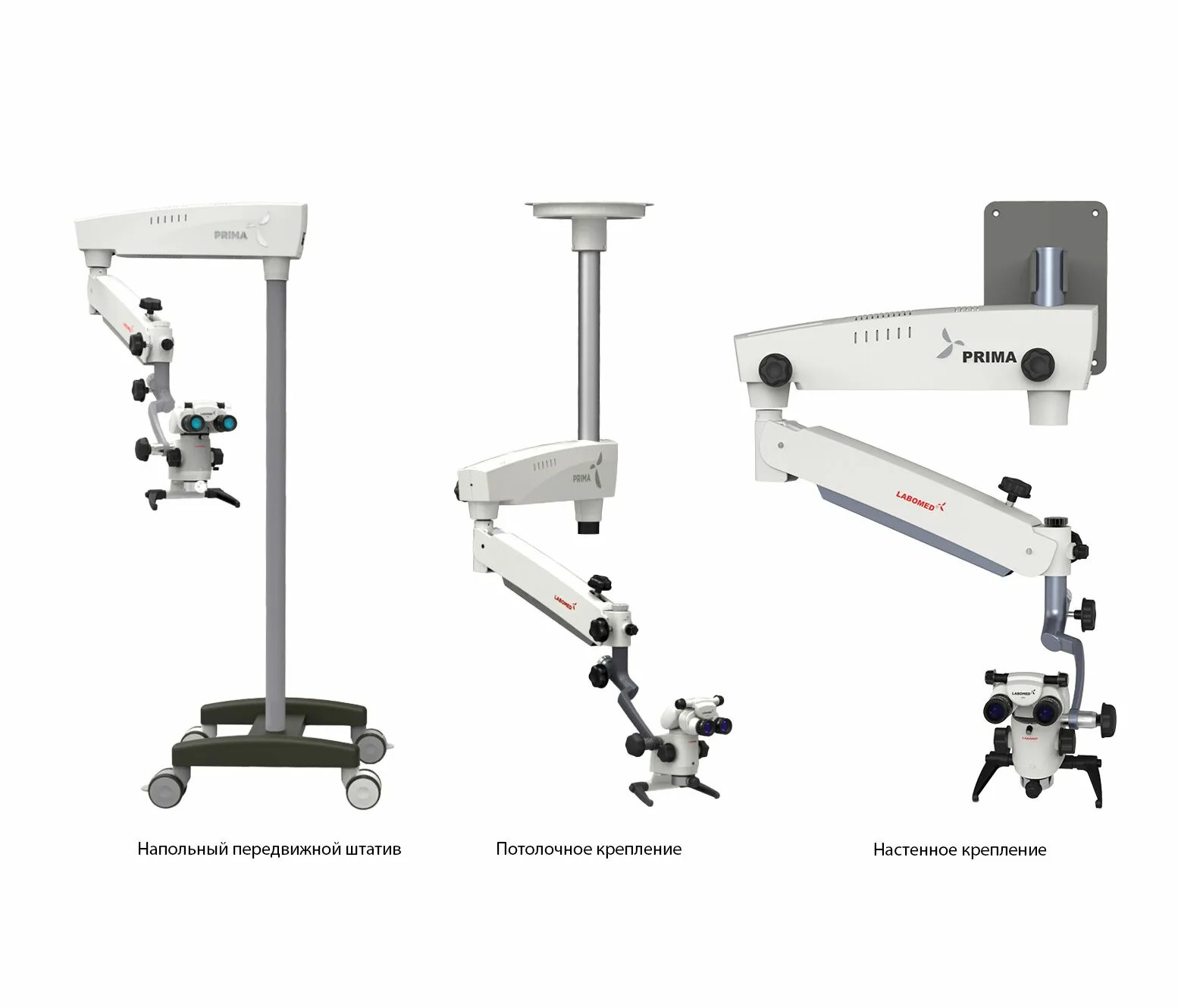 scale_2400 (10).jpg
