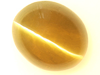 b_zcb101aa.jpg