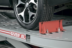 SIVER_ELM_2-3.jpg