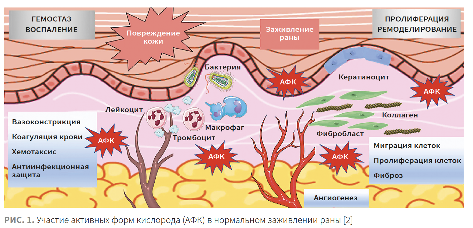 Наумчик КМ 1-2023_Рис 1.png