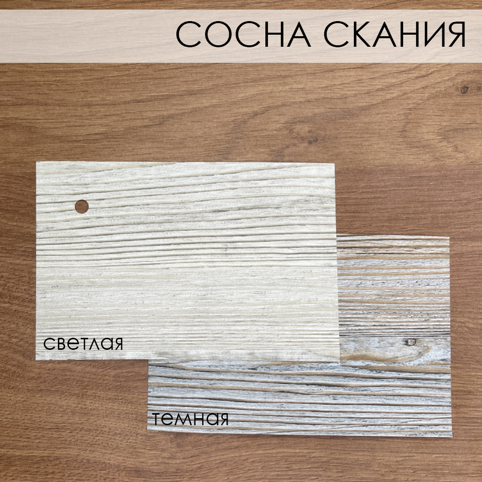 Сравнение. Кат А. СОСНА СКАНИЯ.jpg