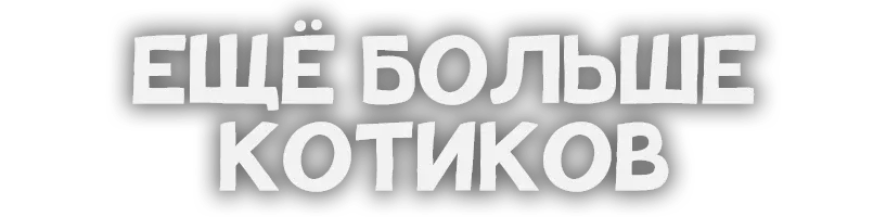 Ещё больше котиков