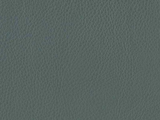 37359015.tmu53mvsu9.W665.jpg