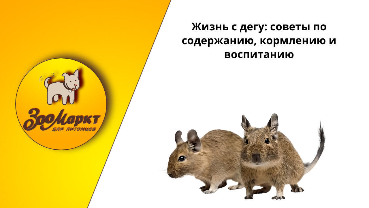 График работы График работы.png