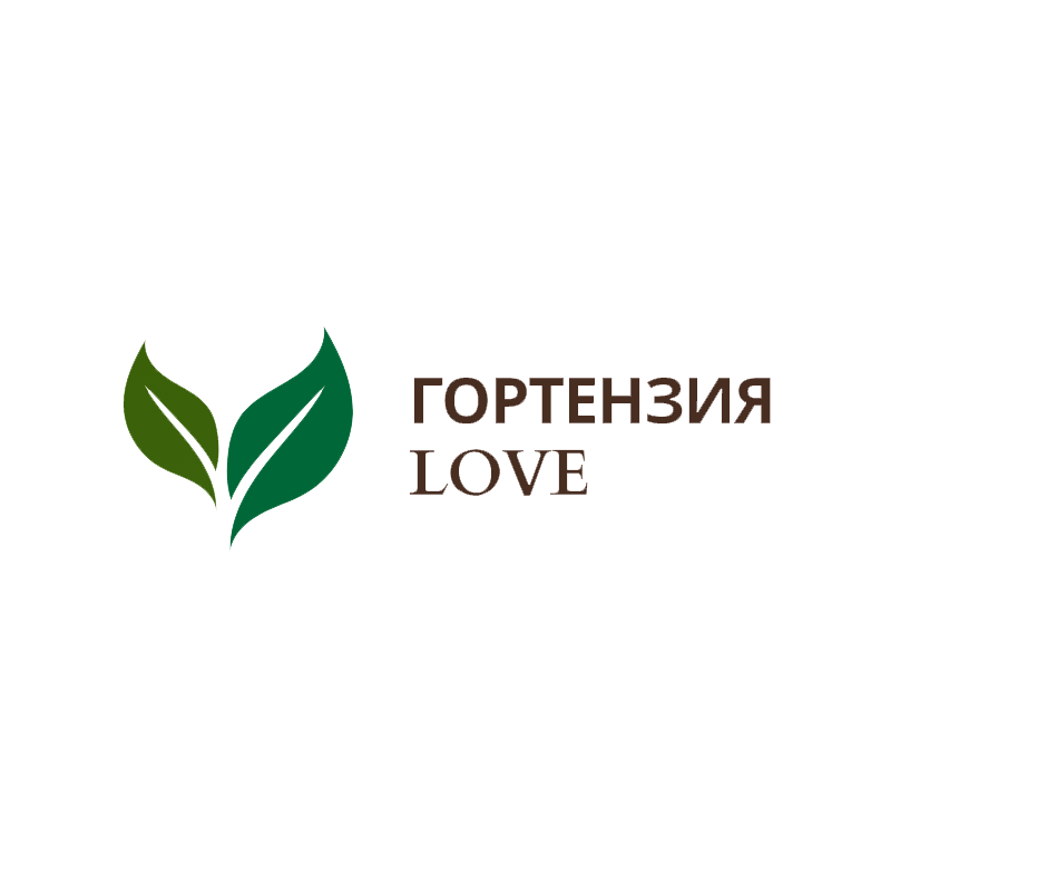 Гортензии для Вас!