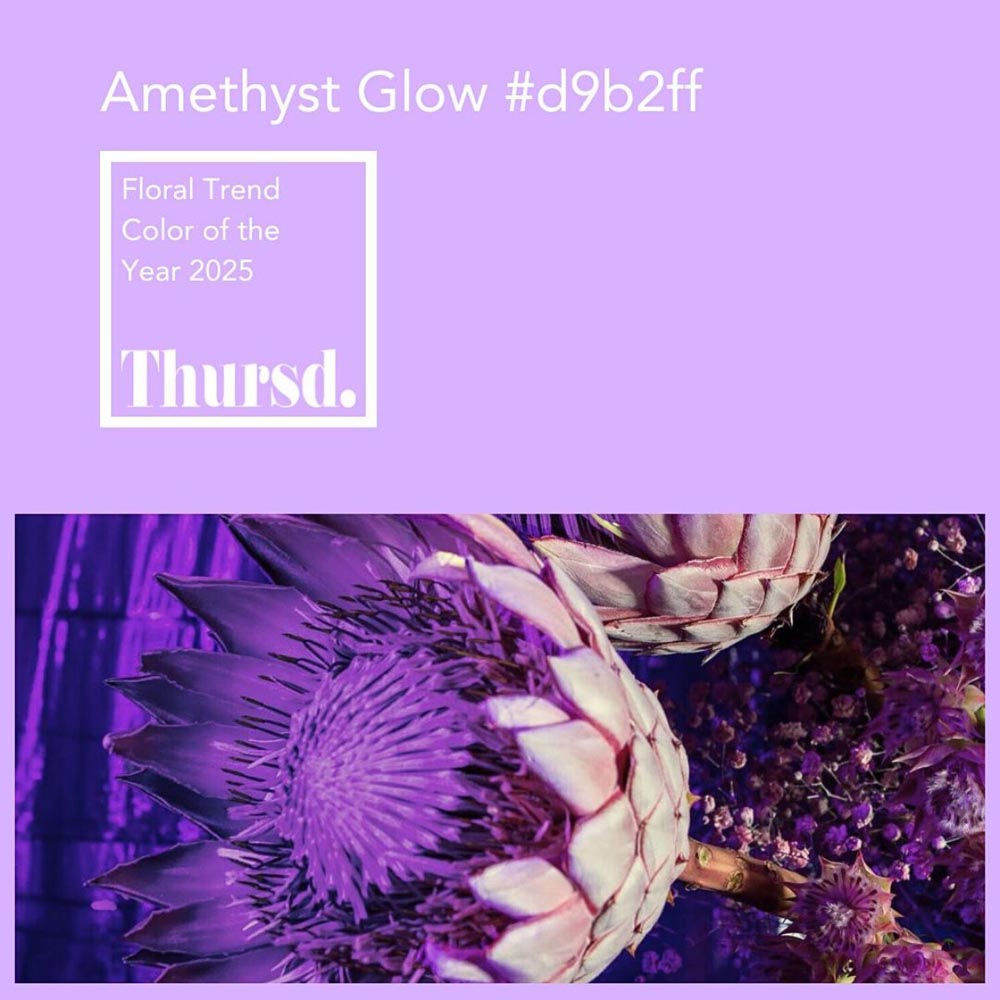 thursd — Amethyst Glow, цвет года 2025 аметист thursd — Amethyst Glow, цвет года 2025 аметист.jpg