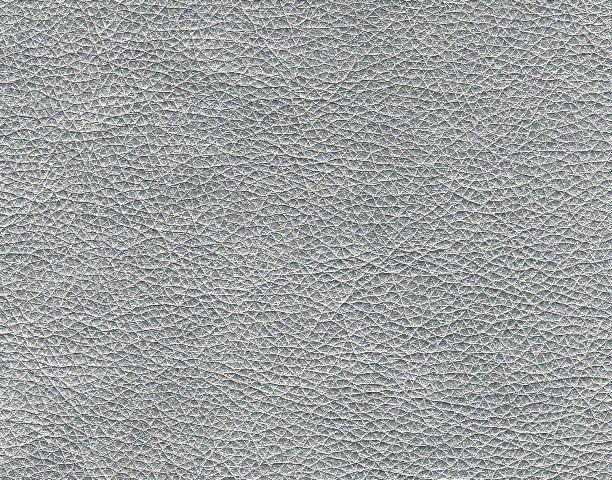 38227187.t2xsa5akvt.W6652.jpg